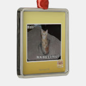 Ornement En Métal Puits ? (Droite)