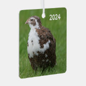 Ornement En Métal Quail Coturnix dans l'herbe (Avant droite)