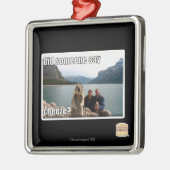 Ornement En Métal Quelqu'un a-t-il dit du cheeze ? (Gauche)