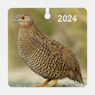 Ornement En Métal Queue de Coturnix
