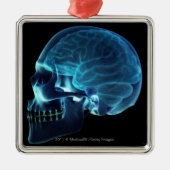 Ornement En Métal Rayon X du cerveau à l'intérieur d'un crâne (Devant)