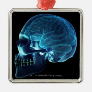 Ornement En Métal Rayon X du cerveau à l'intérieur d'un crâne