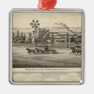 Ornement En Métal Recherche de paon, gorge de saule