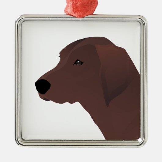 Ornement En Métal Redbone Coonhound Basic Breed Customizable (Devant)