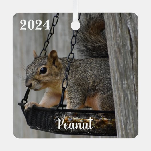 Ornement En Métal Renard Écureuil Mignon Personnalisé (Recto)