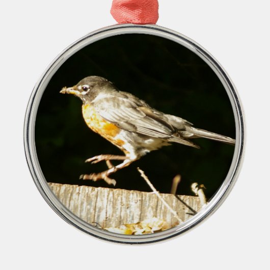 Ornement En Métal Robin Rouge Bobbin (Devant)