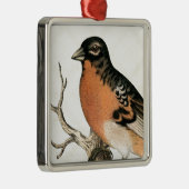 Ornement En Métal Robin vintage (Droite)