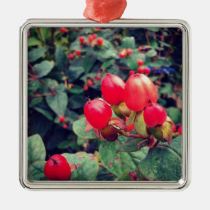 Ornement En Métal Rouge