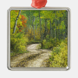 Ornement En Métal Route avec couleurs d'automne et trembles à Kebler
