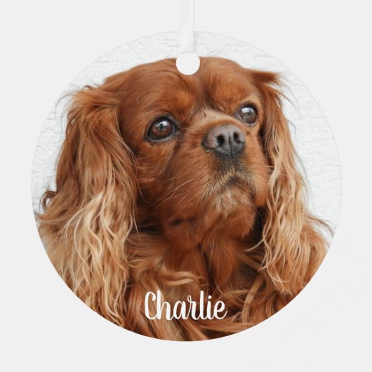 Ornement En Métal Ruby Cavalier King Charles Spaniel (Verso)