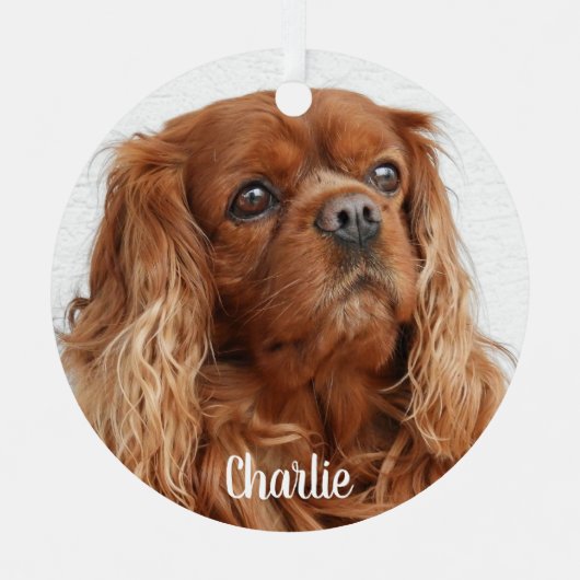 Ornement En Métal Ruby Cavalier King Charles Spaniel (Recto)