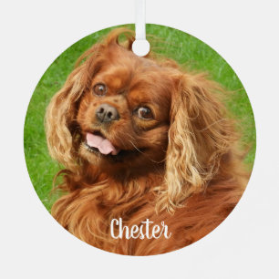 Ornement En Métal Ruby Cavalier King Charles Spaniel