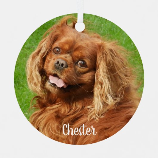 Ornement En Métal Ruby Cavalier King Charles Spaniel (Recto)