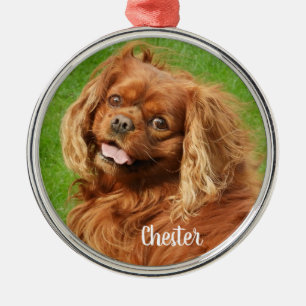 Ornement En Métal Ruby Cavalier King Charles Spaniel