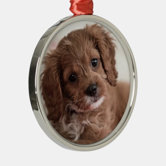 Ornement En Métal Ruby Cavapoo Chien chiot (Droite)