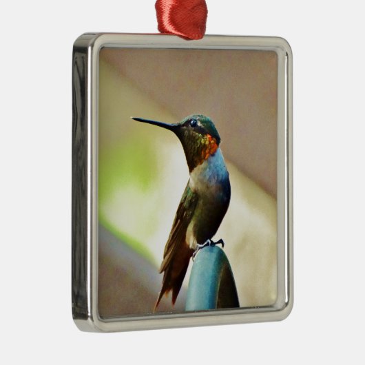 Ornement En Métal Ruby perché et petit colibri vert (Droite)