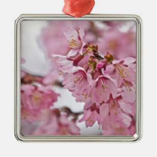 Ornement En Métal Sakura Cherry Blossoms rose pâle
