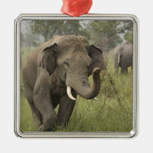 Ornement En Métal Salutation de l'éléphant d'Asie indien