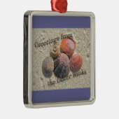 Ornement En Métal Salutations des articles externes de coquillages (Droite)