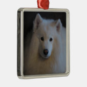 Ornement En Métal Samoyed (Droite)