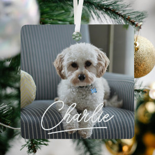 Ornement En Métal Script moderne Pet Photo Noël
