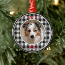 Sentiments Portrait de chien Buffalo Conception de