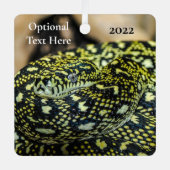 Ornement En Métal Serpent Python de Tapis Jungle (Recto)