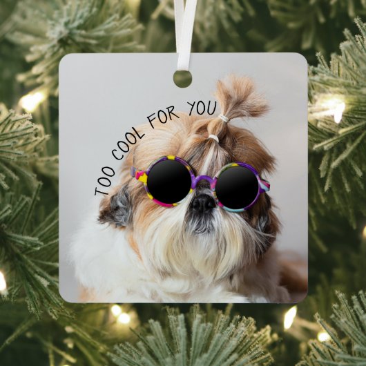 Ornement En Métal Shih Tzu Trop Cool pour vous Lunettes de soleil Ph (Insitu)