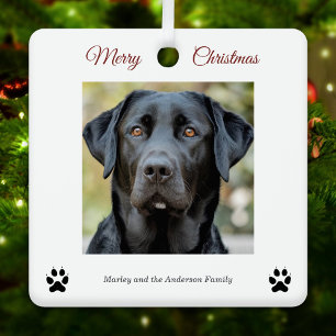 Ornement En Métal Simple Chien Photo Joyeux Noël Blanc