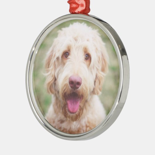 Ornement En Métal Souriant d'endoodle doré (Gauche)