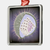 Ornement En Métal Structure 2 de virus du herpès (Gauche)