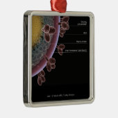 Ornement En Métal Structure d'une cellule d'HIV (Droite)