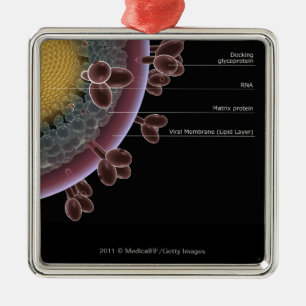 Ornement En Métal Structure d'une cellule d'HIV
