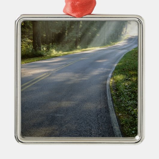 Ornement En Métal Sunrise à travers le brouillard le long de Green R (Devant)