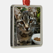 Ornement En Métal Tabby Cat Kitten Faire contact visuel (Droite)