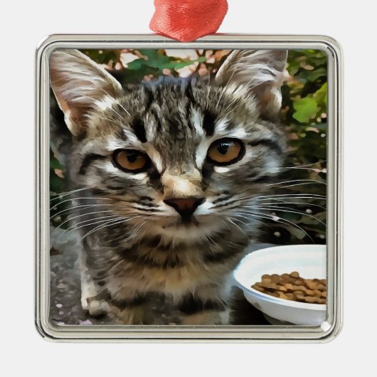 Ornement En Métal Tabby Cat Kitten Faire contact visuel (Devant)