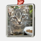 Ornement En Métal Tabby Cat Kitten Faire contact visuel (Gauche)