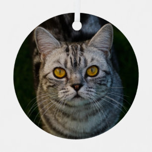 Ornement En Métal Tabby Gris