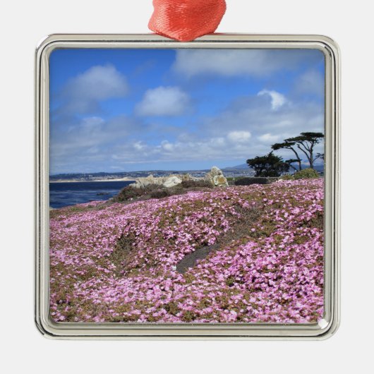 Ornement En Métal Tapis Pacifique de pourpre de verger (Devant)