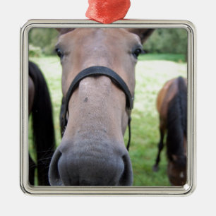 Ornement En Métal Tête de cheval