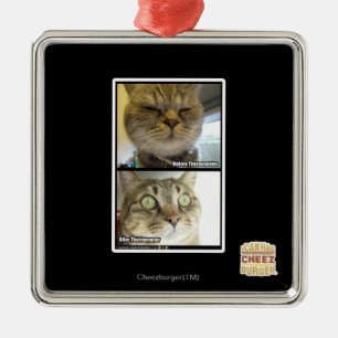 Ornement En Métal Thermomètre