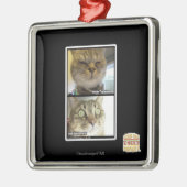 Ornement En Métal Thermomètre (Gauche)