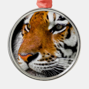 Ornement En Métal Tigre