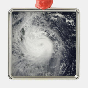 Ornement En Métal Titre de Mirinae d'ouragan occidental