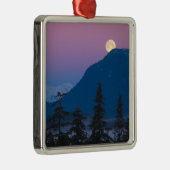 Ornement En Métal Tombe nocturne en Alaska (Droite)