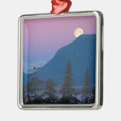 Ornement En Métal Tombe nocturne en Alaska (Gauche)