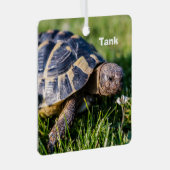 Ornement En Métal Tortue grecque dans l'herbe (Avant droite)
