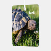 Ornement En Métal Tortue grecque dans l'herbe (Avant gauche)