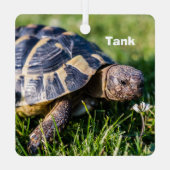 Ornement En Métal Tortue grecque dans l'herbe (Verso)
