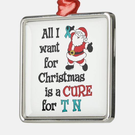 Ornement En Métal Tous que je veux pour Noël… TN (Gauche)